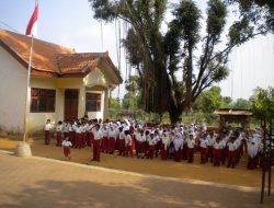 Dari 36 SD Masih Tiga Sekolah Terapkan Kurikulum Merdeka
