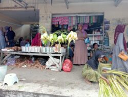 Tradisi Lebaran Ketupat, Warga Sampang Mulai Berburu Janur