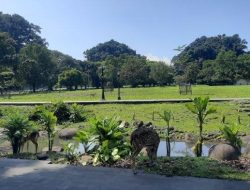 Itinerary Bogor 2 Hari 1 Malam dengan Budget Rp 2 Jutaan: Kebun Raya dan Puncak