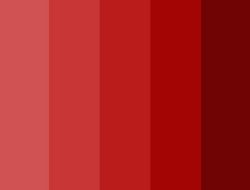 12 Jenis Warna Merah dan Cara Padukan dengan Sempurna