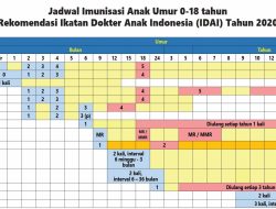 Jadwal Kapal PELNI KM Egon November 2025: Rute Lengkap, Syarat, dan Harga Tiket