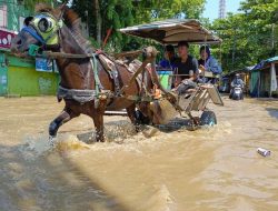 Ketika Delman Jadi Jembatan Saat Banjir Dayeuhkolot Bandung