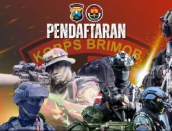 Pendaftaran Bintara Brimob 2025 Dibuka, Cek Syaratnya!