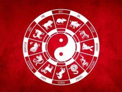 Ramalan Shio Hari Ini 20 November 2025 untuk Monyet, Ayam, Anjing, Babi