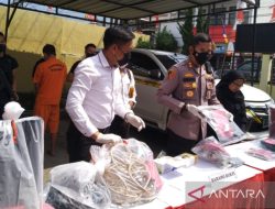 Membakar Rumah Majikan, Sopir Khamozaro Waruwu Dugaan Pelaku Pencurian