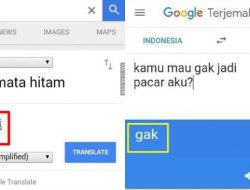 Terjemahan Lirik Lagu Every Time I Look for You – Blink 182: Muda dan Bodoh, Terbuka Lebar