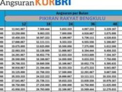 Pinjaman 300 Juta: Pilih KUR BRI atau Non KUR? Cek Perbedaan Cicilan!