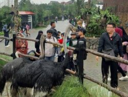 Harga Tiket Lembang Park dan Zoo Saat Libur Natal dan Tahun Baru 2026