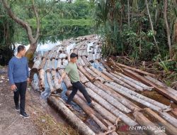 Kemenhut Negasi Kaitan Kayu dengan Banjir Sumatra