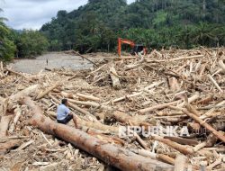 Menghadirkan Kembali ‘Taring Ekologis’ Negeri Ini