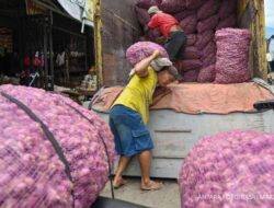 Harga pangan Nataru 2025 turun drastis