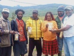 Tujuh Tokoh Anak Pepera Wamena Dapat Bantuan Bibit Babi dari Menkopolkam