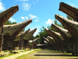 Wisata Goa Maharani, Keindahan Alam Bawah Tanah dengan Pesona Stalaktit