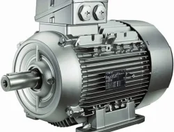 Motor Kawasaki 2025, Desain Retro hingga Supernaked, Mulai Rp 30 Jutaan